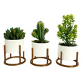 Trio de Cachepots Elegance