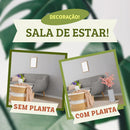 Decoração sala de estar com e sem planta, sofá cinza e mesa de vime