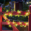 Guirlanda de luzes com folhas verdes decorando portão de madeira vermelho à noite